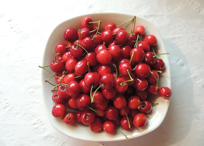 Manin Εξοχικό σπίτι *